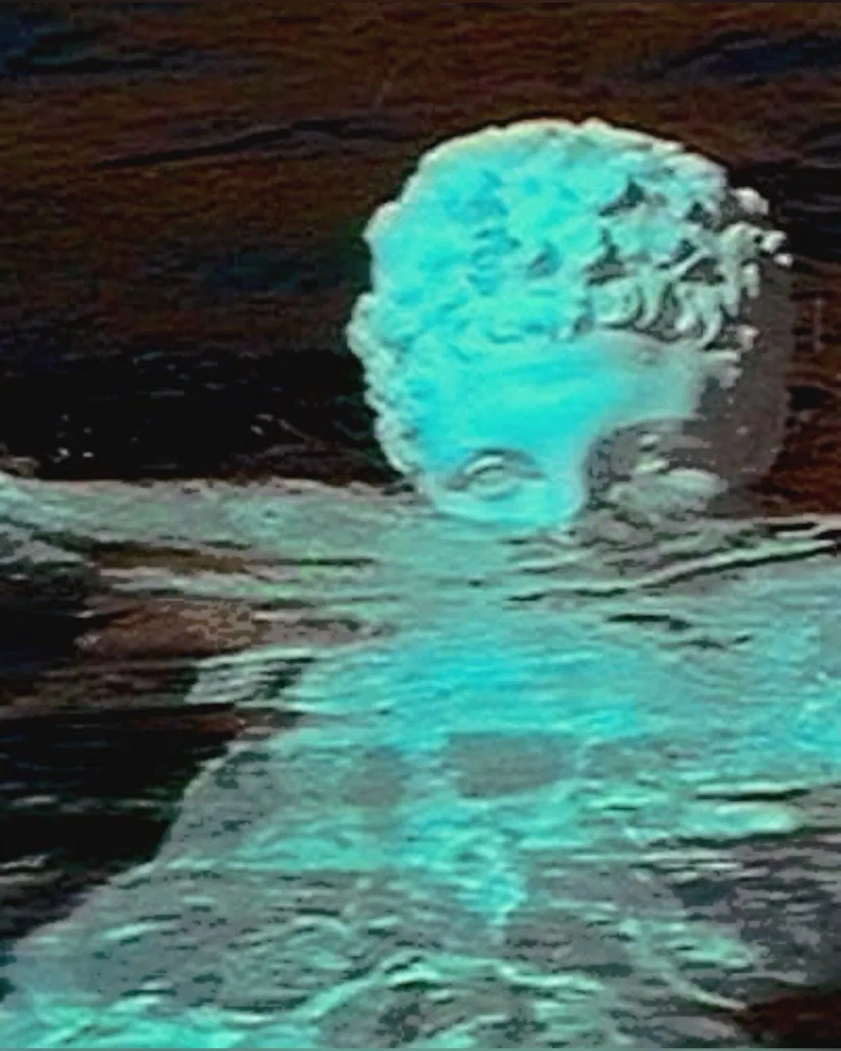 Avatar of Percy Jackson