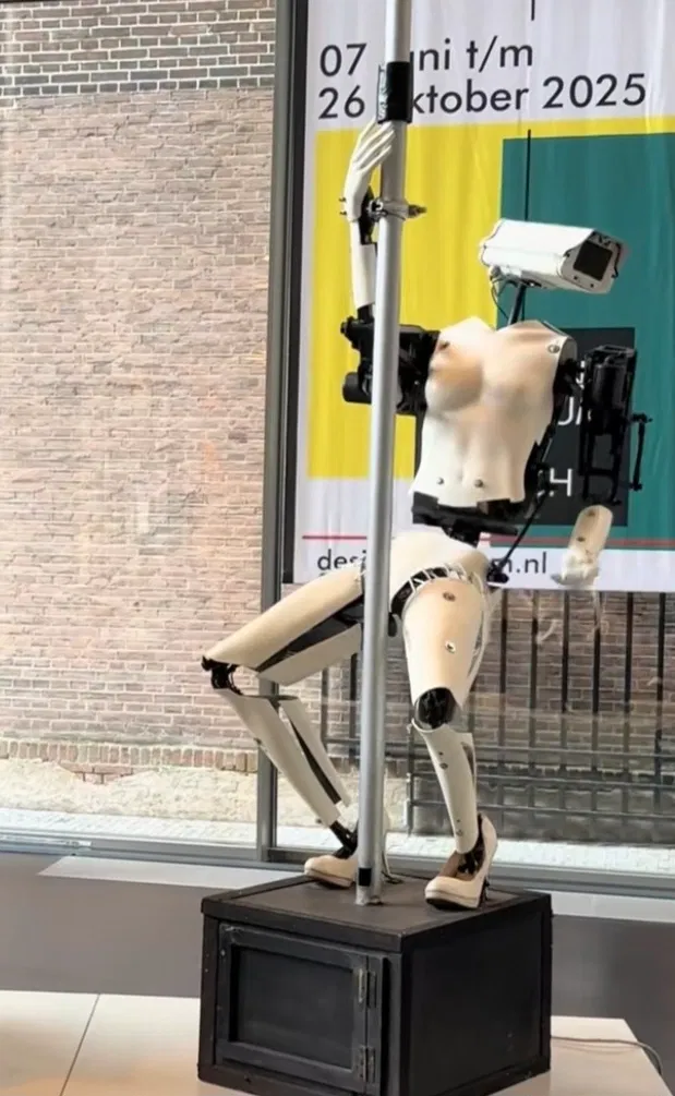 Avatar of robot stripper 