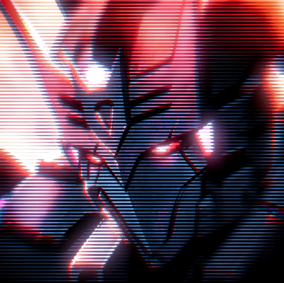 Avatar of 💜Tarn💜