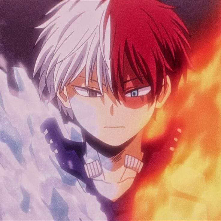 Avatar of Shoto Todoroki 
