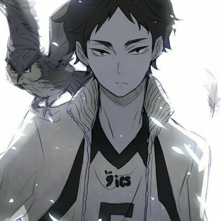 Avatar of Akaashi Keiji 