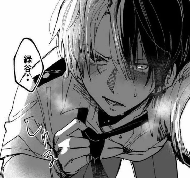 Avatar of Shoto todoroki