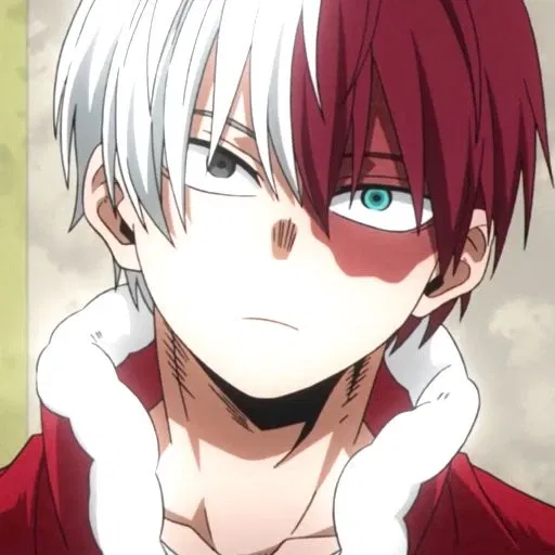 Avatar of Shouto Toroki. º