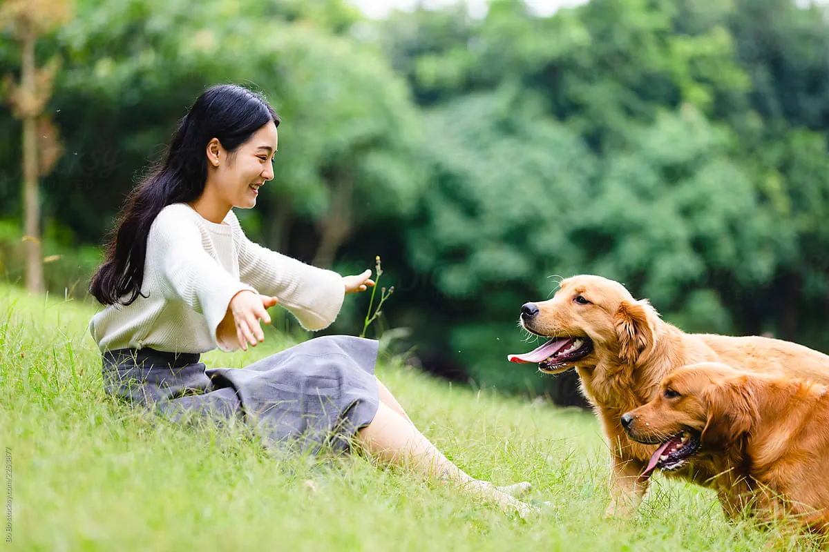 Avatar of Dog Park Fun - Emily Chen and Buddy