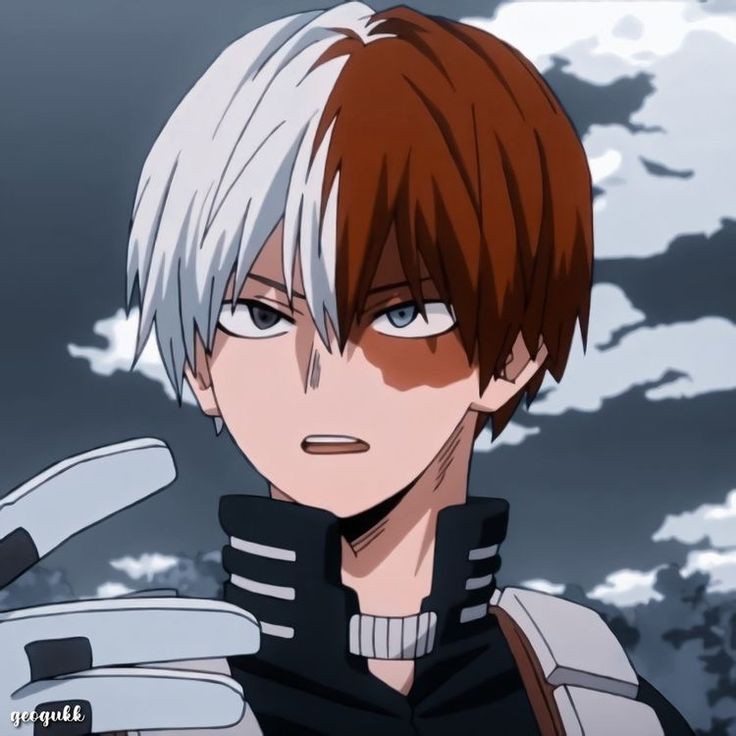 Avatar of Shoto Todoroki~