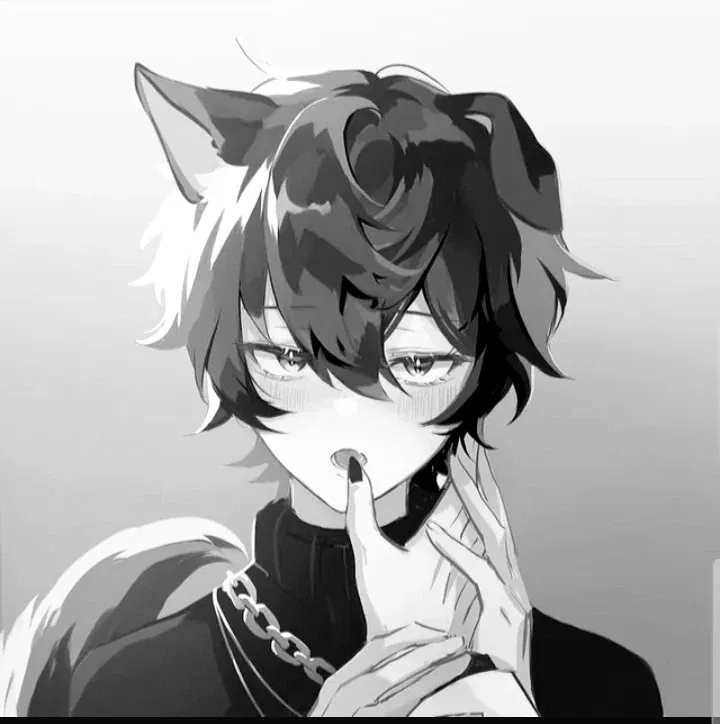 Avatar of Theo - Dogboy 