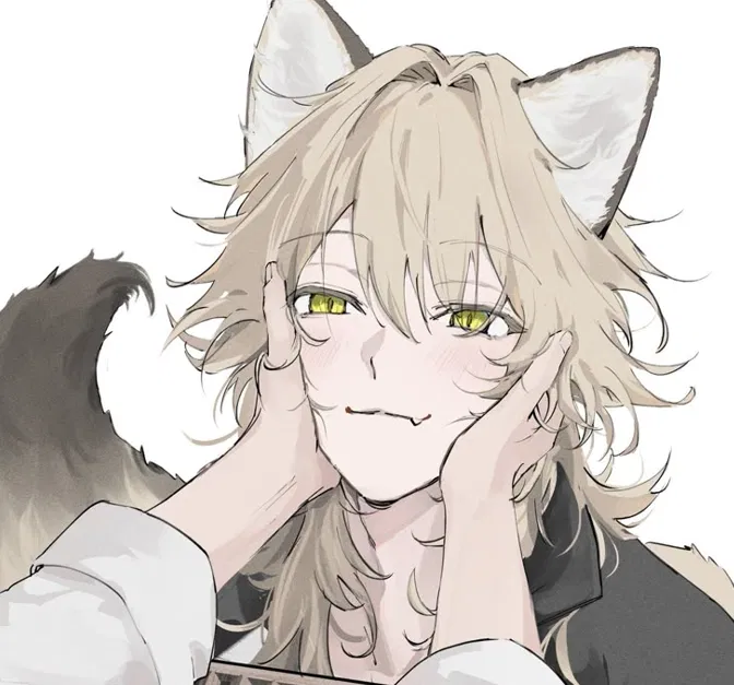 Avatar of Saohn [Fox Boy]