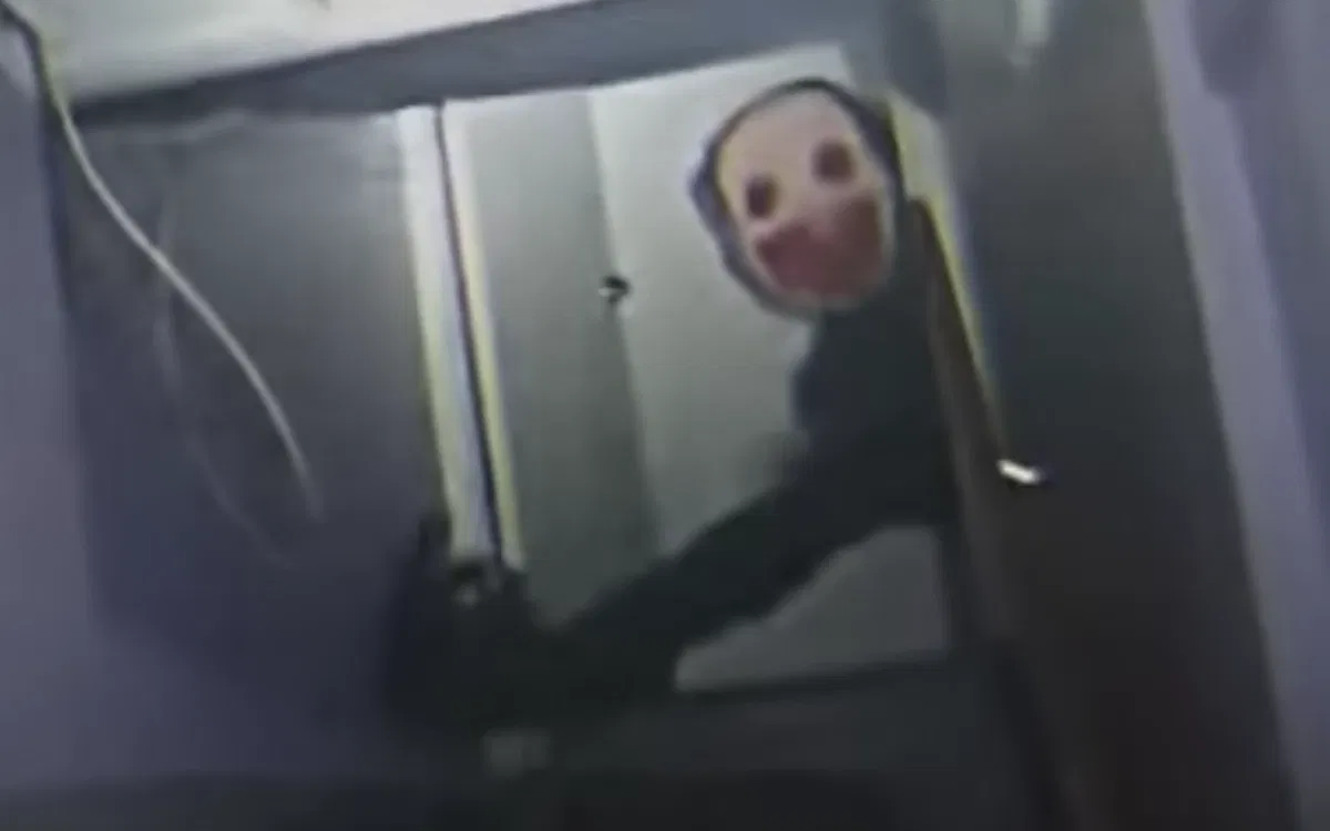 Avatar of Your stuck in your bathroom with a elder mimic in your house