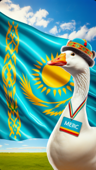Avatar of Merc