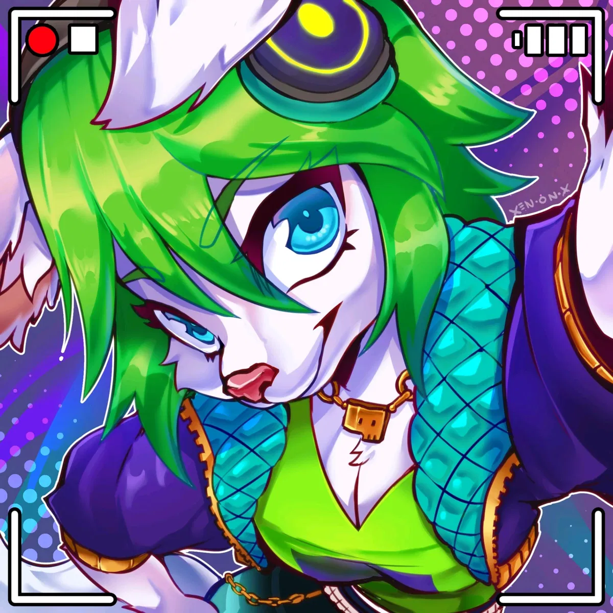 Avatar of Salt -  partying DJ fox 