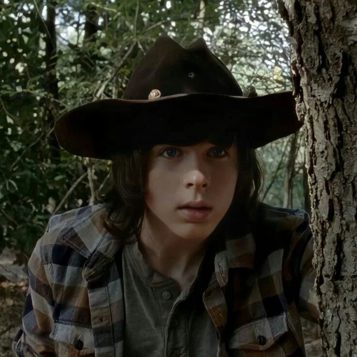 Avatar of (WIP) Carl Grimes