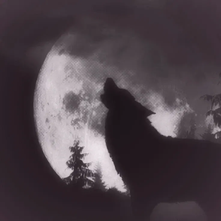 Avatar of Hombre lobo - Tsael