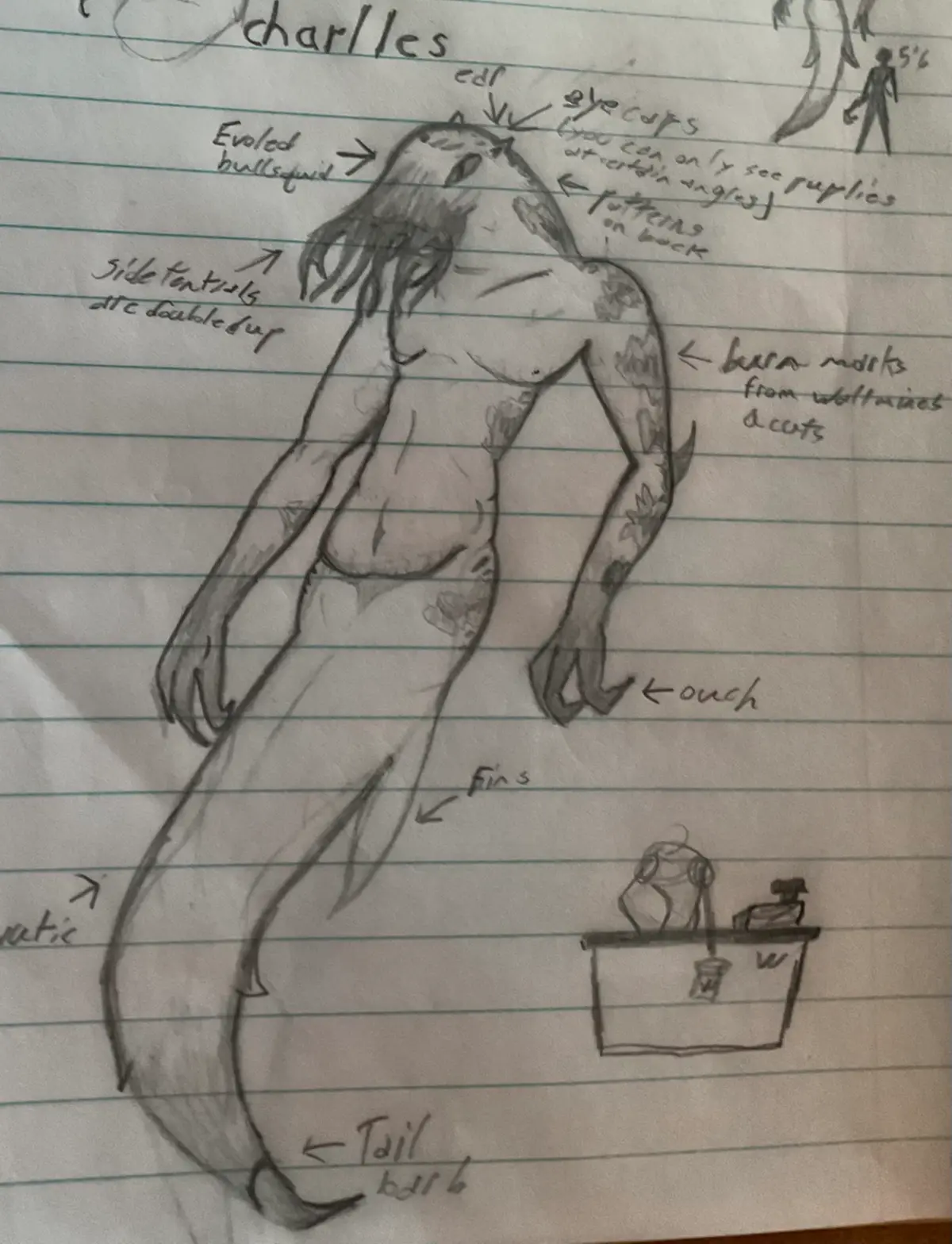 Avatar of Bullsquid