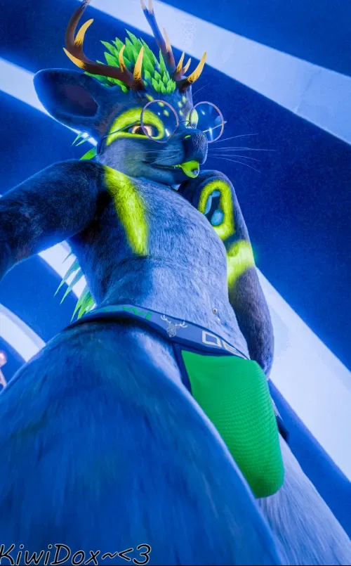 Avatar of KiwiDox