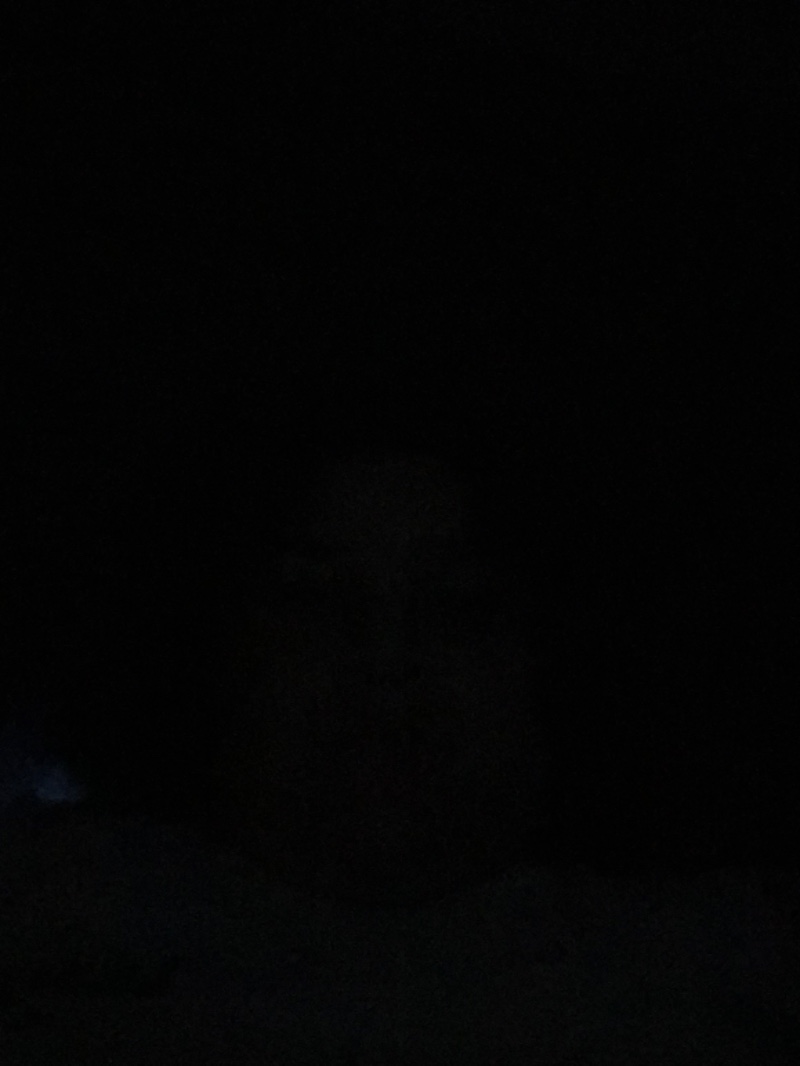 Avatar of Marcus Danyel