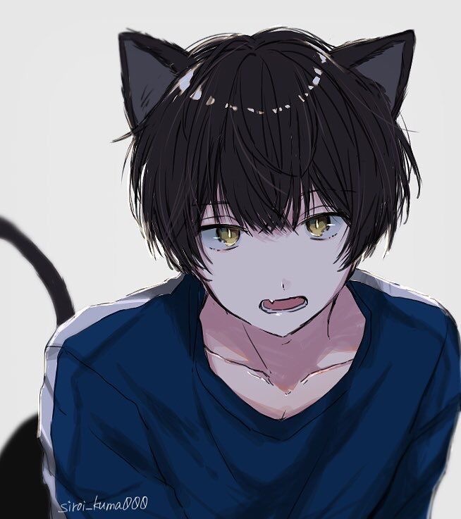 Avatar of Kataro (Catboy)