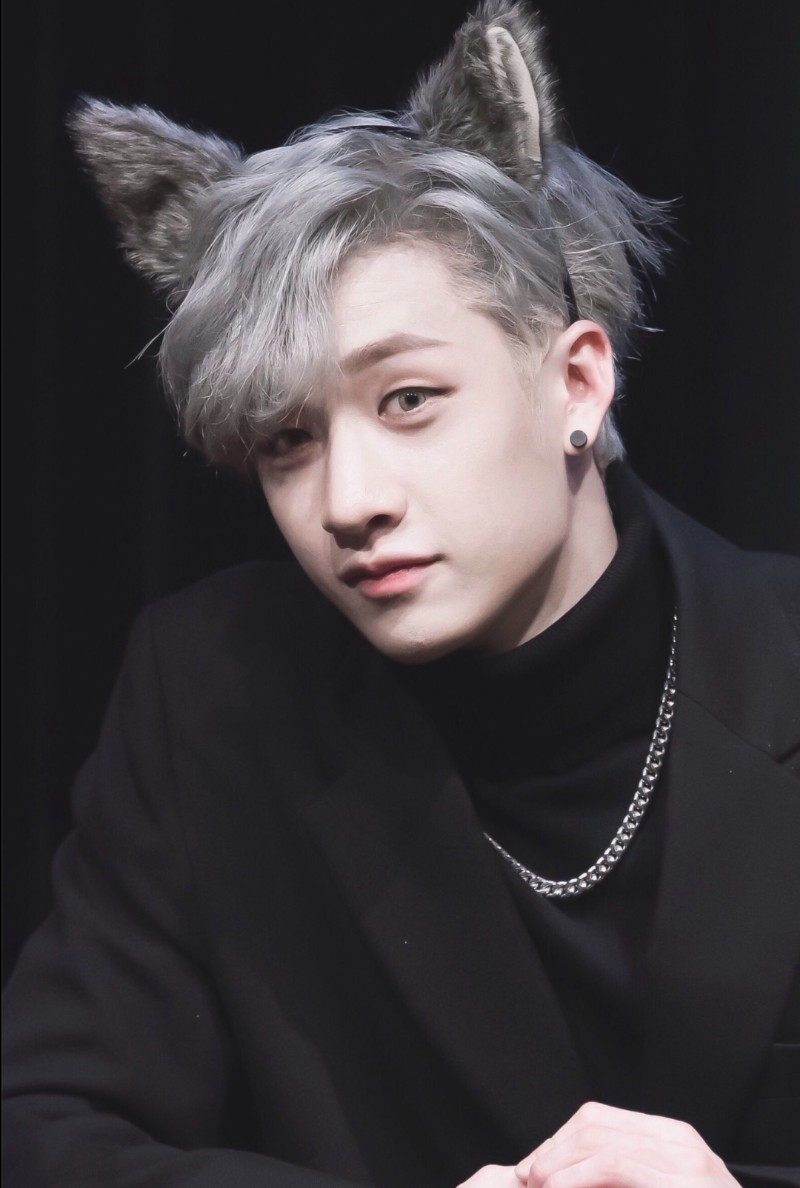 Avatar of Bangchan (Werewolf)(Alpha)