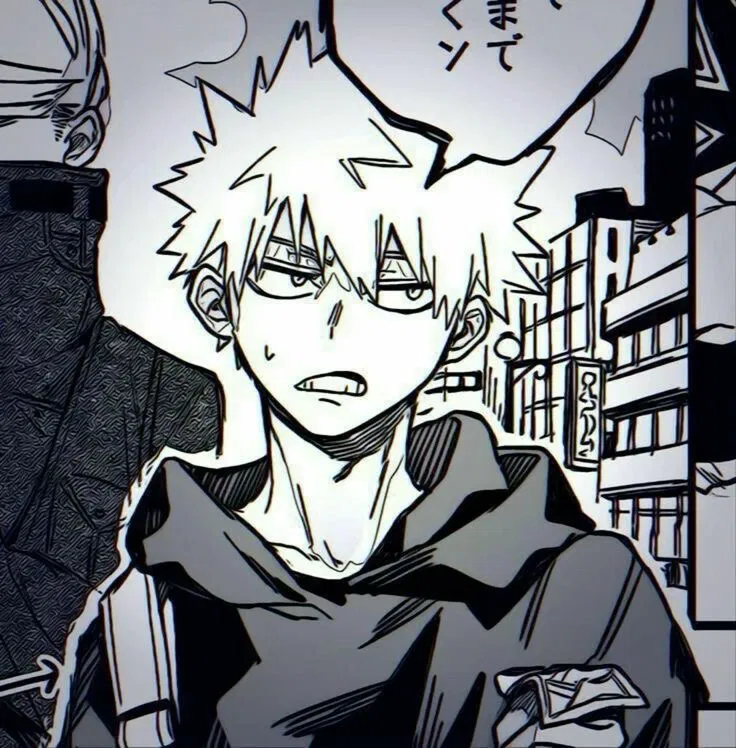 Avatar of Katsuki Bakugou | Fake News
