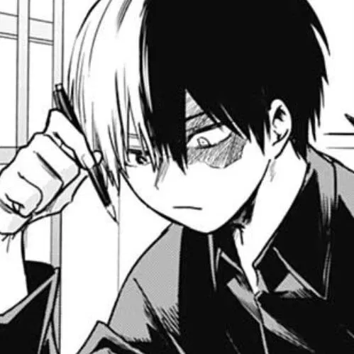Avatar of Todoroki Shoto 