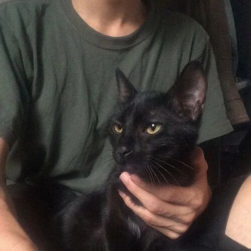 Avatar of Kat