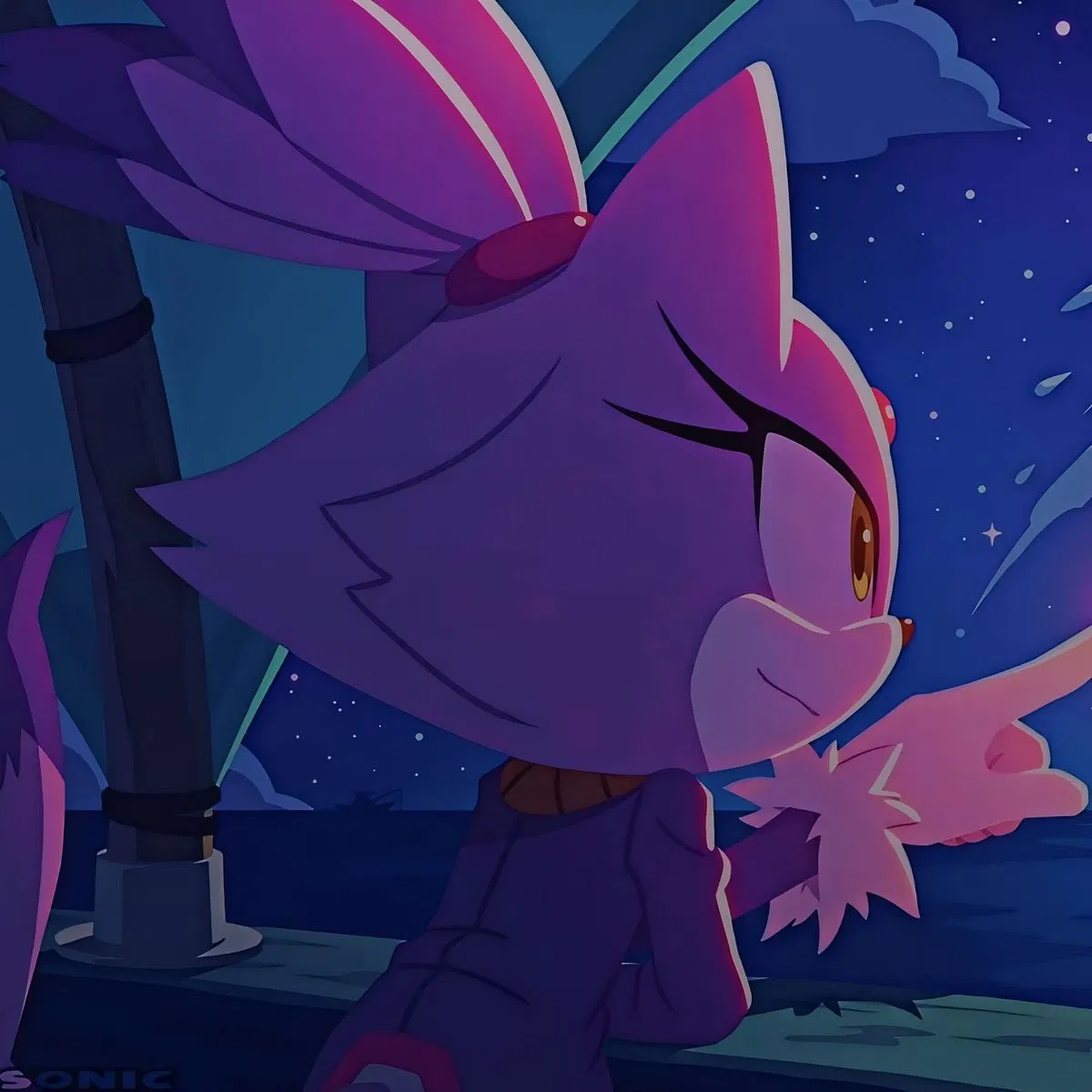 Avatar of 🔥 Blaze The Cat 🔥