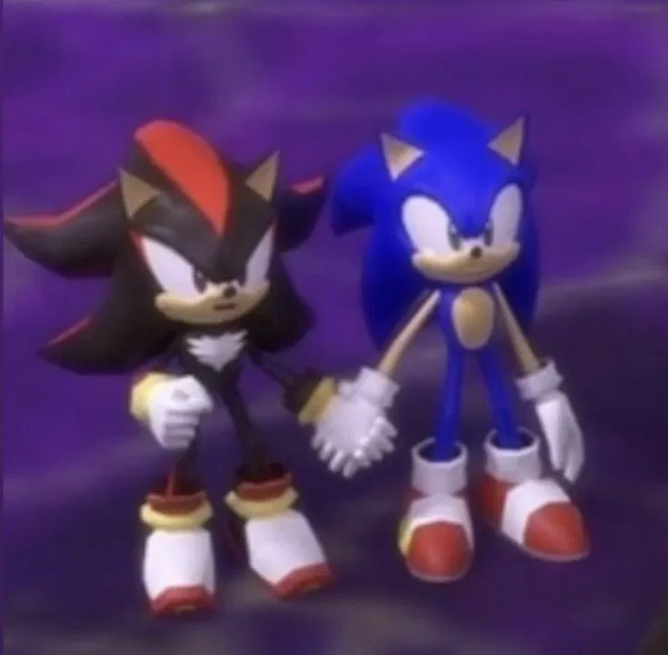 Avatar of Shadow and Sonic