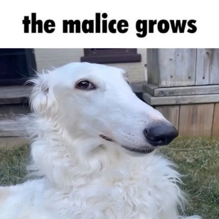 Avatar of Matthias the Borzoi Furry