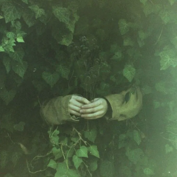 Avatar of The Silt Of Mind