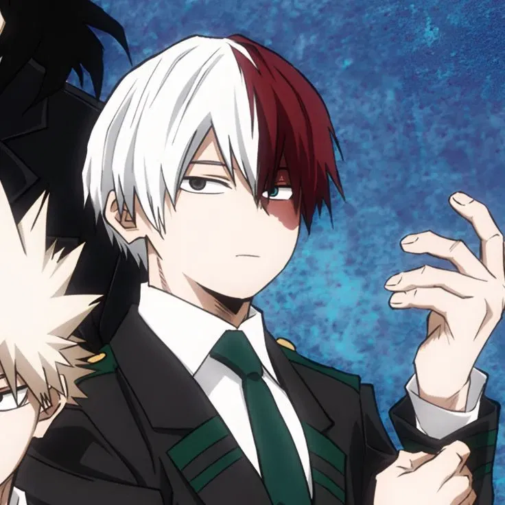 Avatar of Shoto Todoroki 