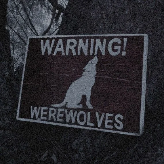 Avatar of Teen Wolf