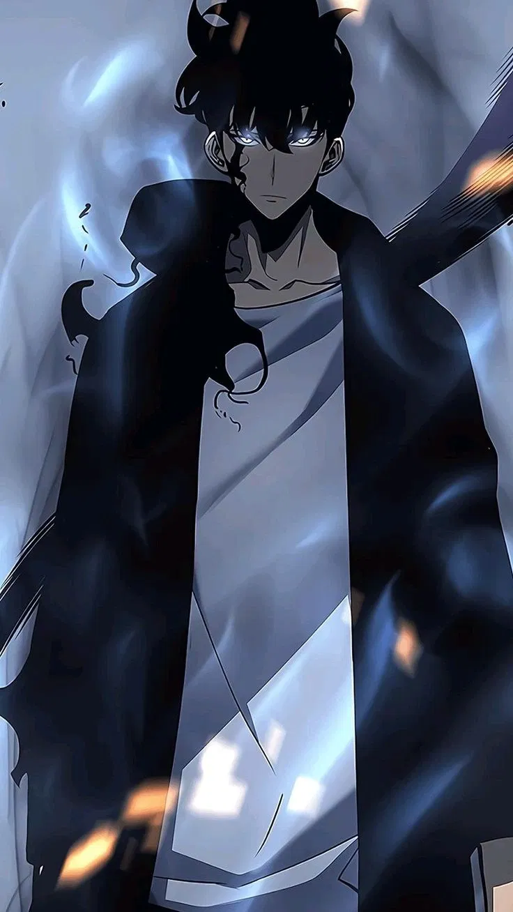 Avatar of Sung Jin-woo 