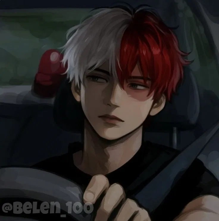 Avatar of Shoto Todoroki ❄️🔥(Shoto) || My Hero Academia || MHA