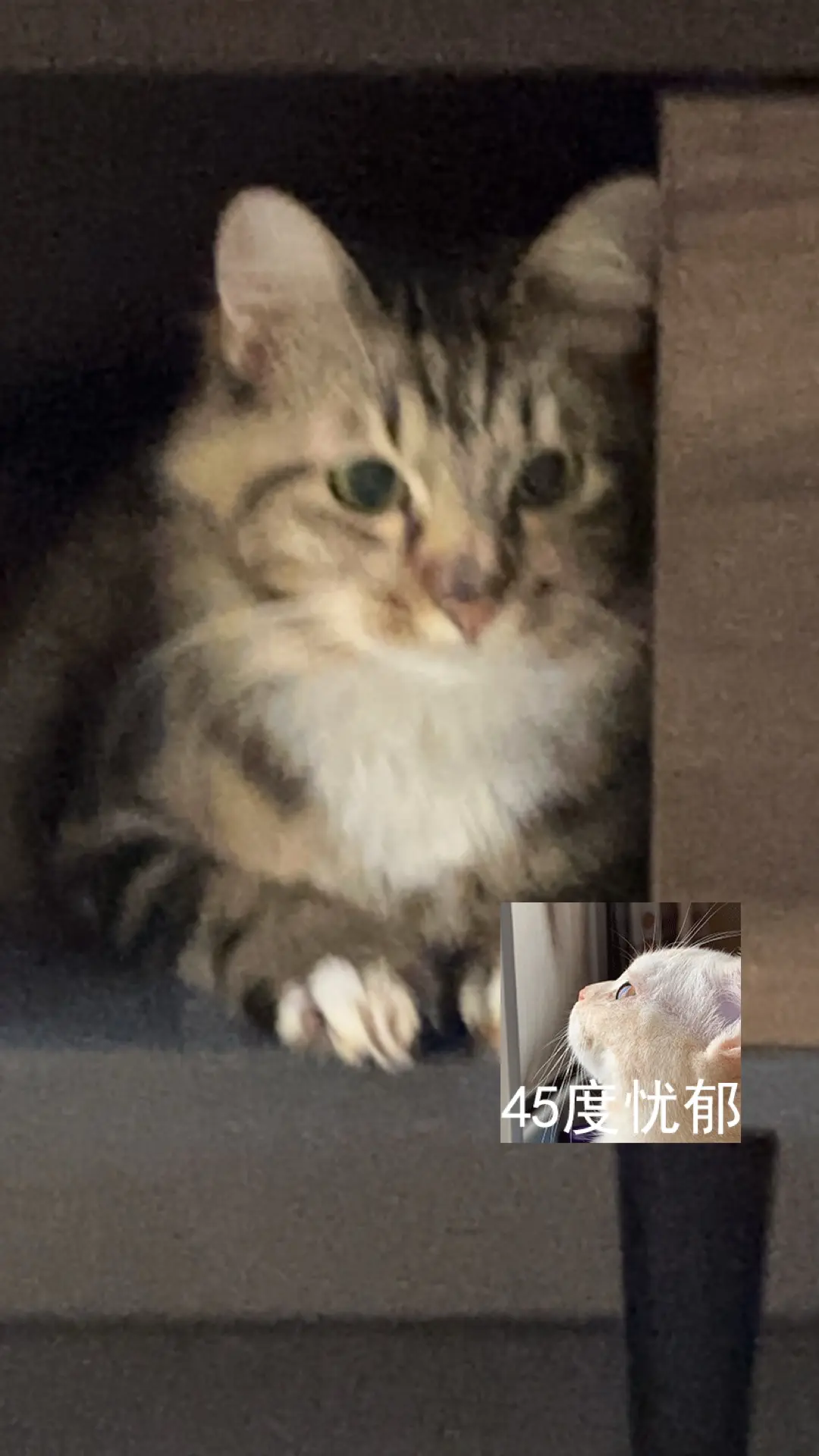 Avatar of ANNOUNCEMENT