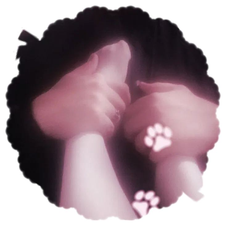 Avatar of ୨୧Adams Anderson