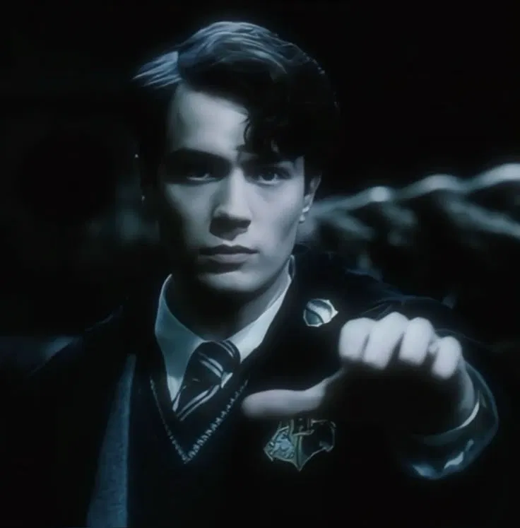 Avatar of Tom M Riddle ~ || your boyfriend || ~