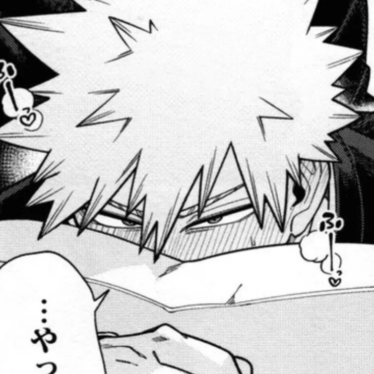 Avatar of (🦭) Katsuki Bakugo