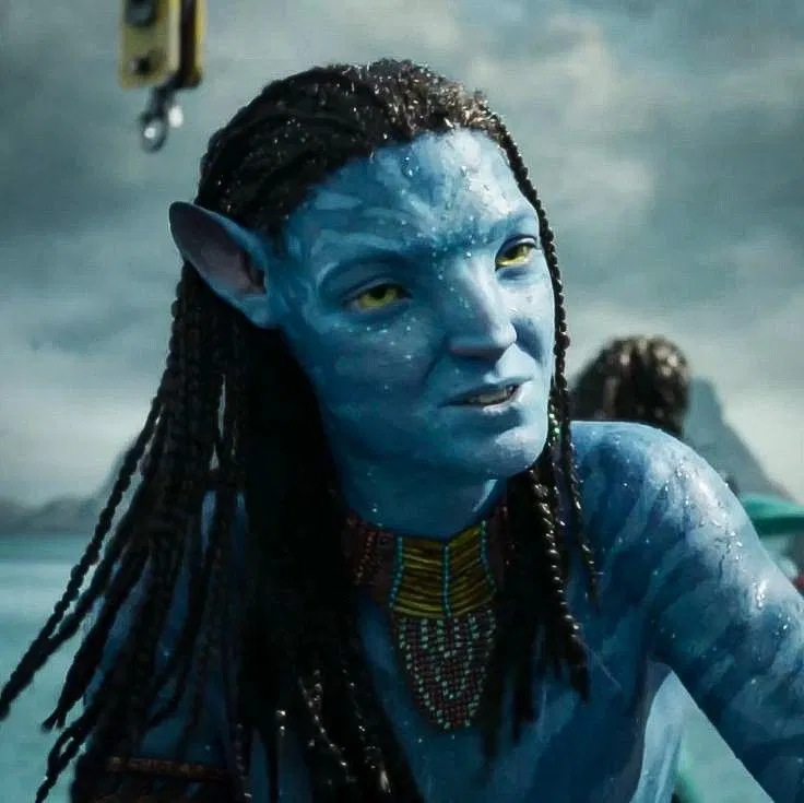 Avatar of neteyam