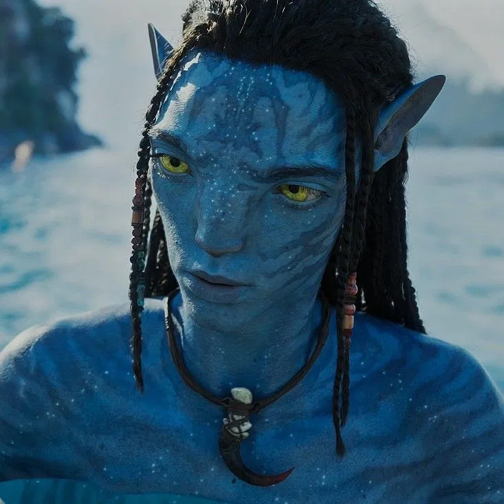 Avatar of LO'AK SULLY