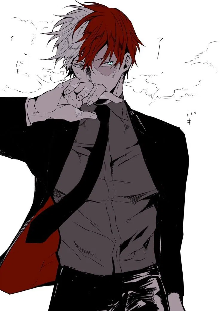 Avatar of Shoto Todoroki 🔥❄️