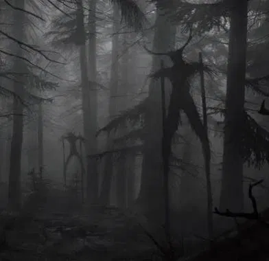 Avatar of Forest 
