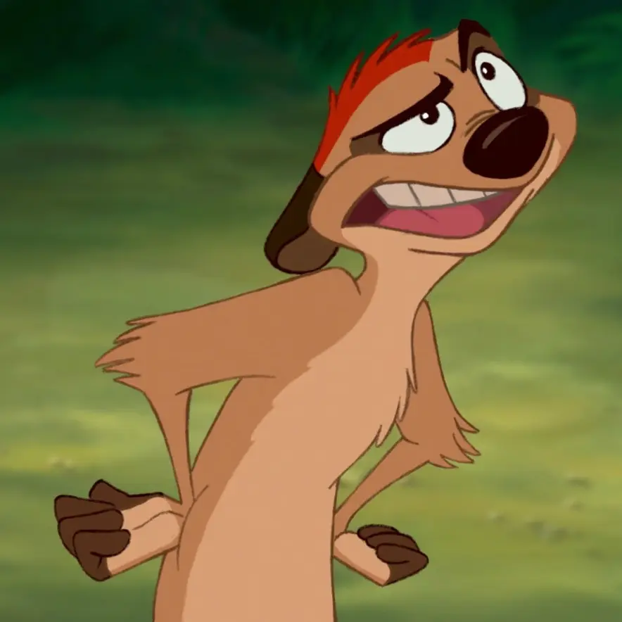 Avatar of Timon