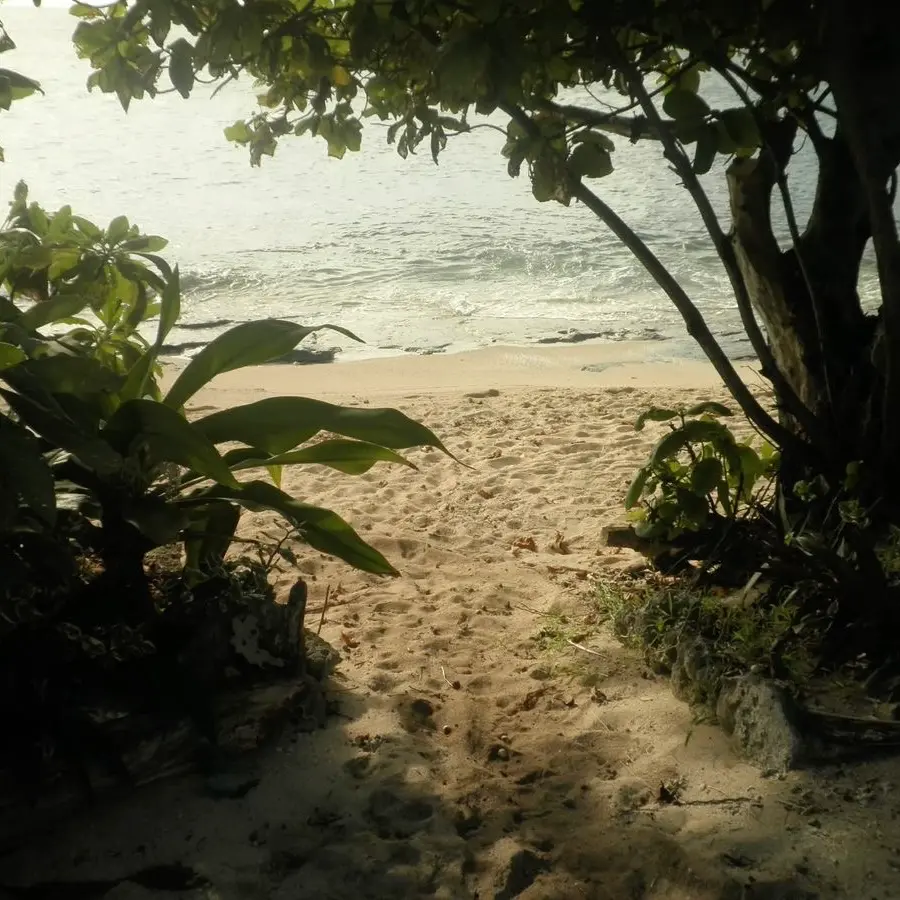 Avatar of Stranded