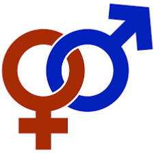 Avatar of Sex education 