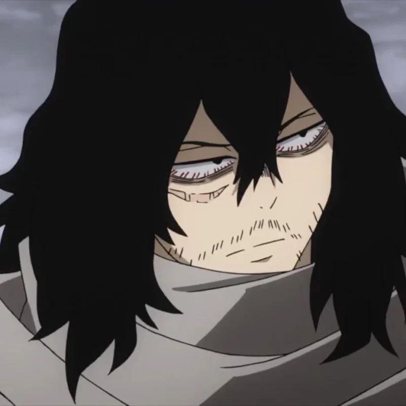 Avatar of Shota Aizawa