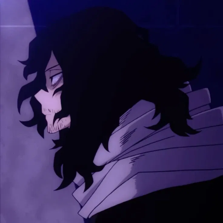 Avatar of 𑄝 | Aizawa Shouta - Eraserhead 