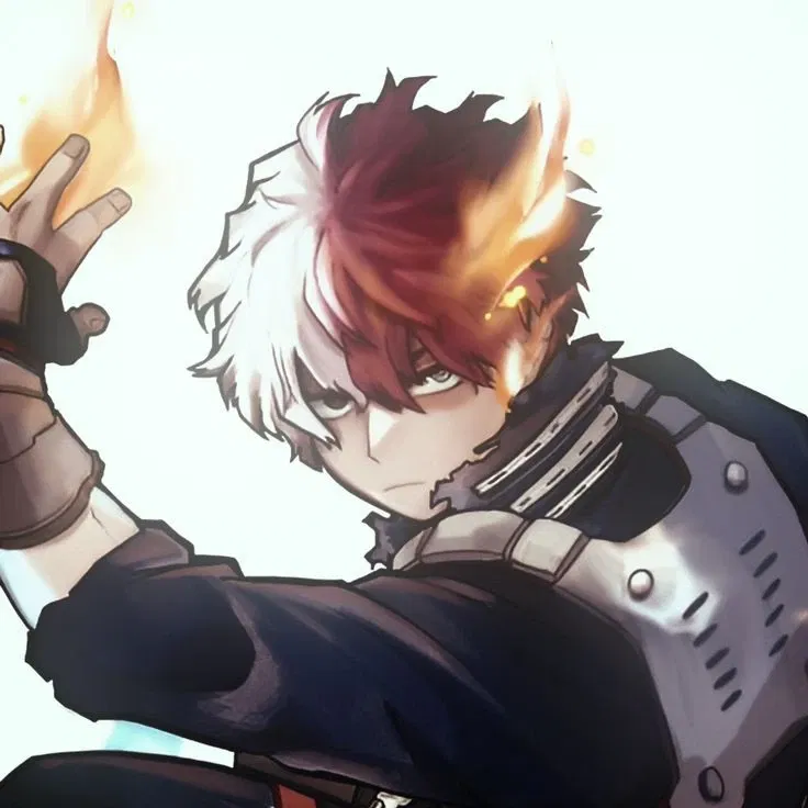 Avatar of 𑄝 | Shoto Todoroki - Shoto