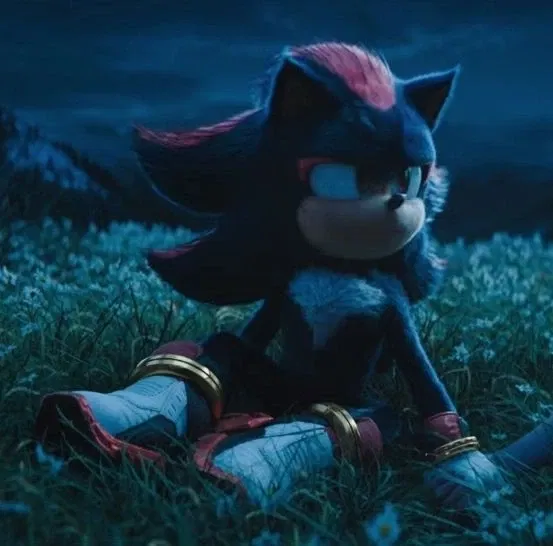 Avatar of Shadow The Hedgehog (Movie Ver.)