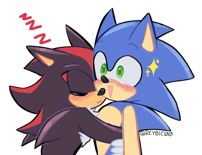 Avatar of ◇ Sonic And Shadow ◇