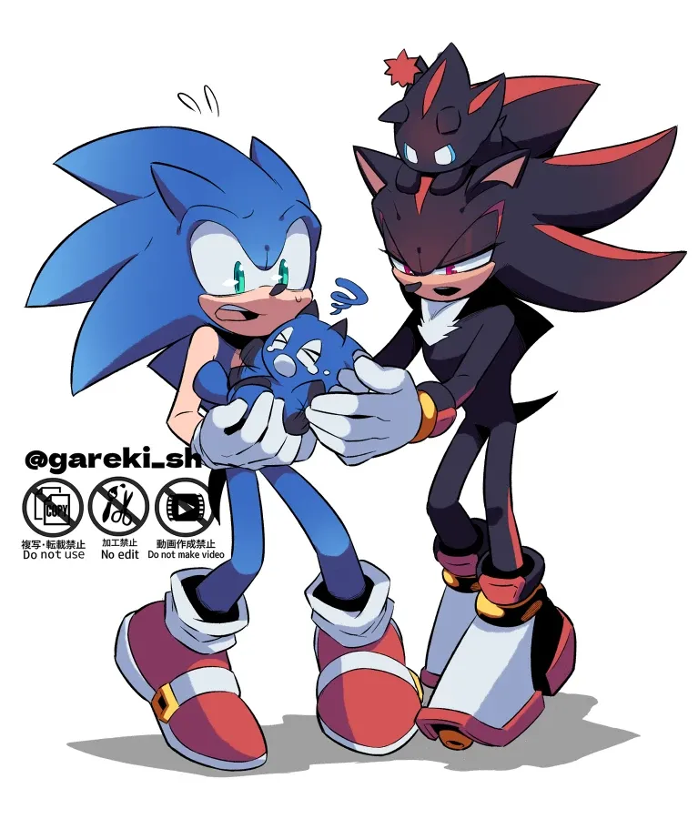 Avatar of ◇ Sonic & Shadow ◇