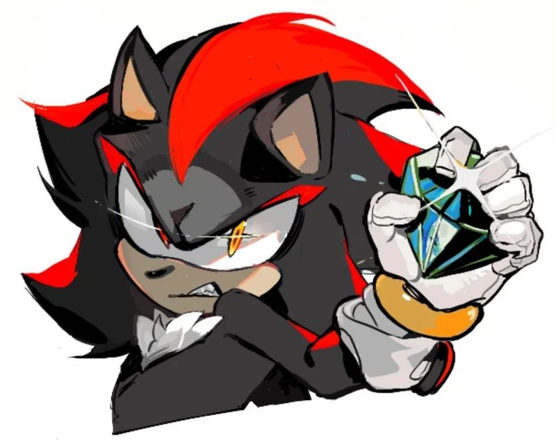 Avatar of ◇ Shadow The Hedgehog ◇